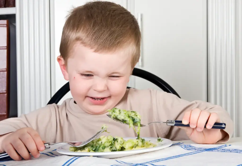 A Boy Disgust at the Food on His Plate