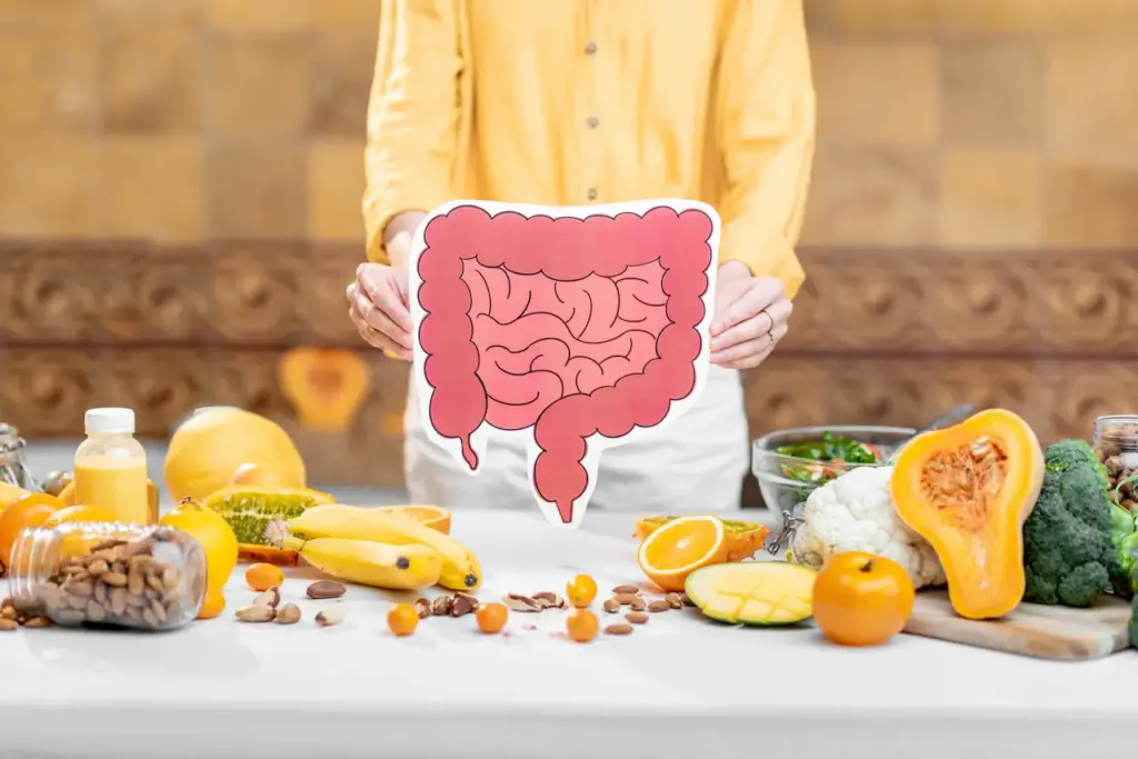 Bowel Model and Variety of Healthy Fresh Food