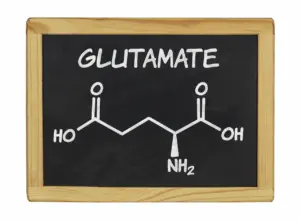 What Is Glutamate